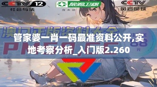 管家婆一肖一码最准资料公开,实地考察分析_入门版2.260