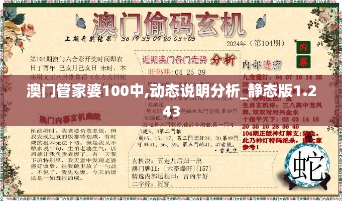 澳门管家婆100中,动态说明分析_静态版1.243