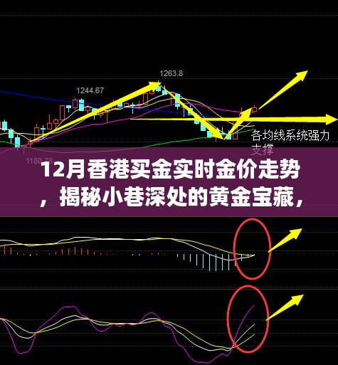 香港十二月黄金探秘，小巷金店与实时金价走势揭秘