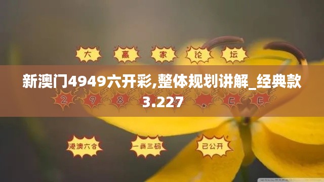 新澳门4949六开彩,整体规划讲解_经典款3.227