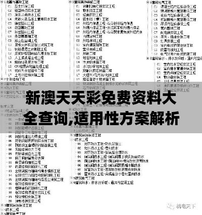新澳天天彩免费资料大全查询,适用性方案解析_nShop10.385