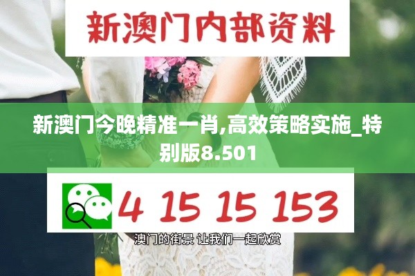 新澳门今晚精准一肖,高效策略实施_特别版8.501