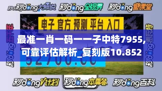 最准一肖一码一一子中特7955,可靠评估解析_复刻版10.852