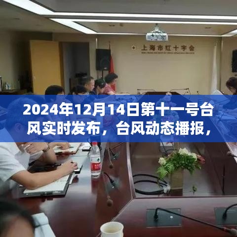 第十一号台风实时发布，关于台风动态播报
