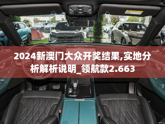 2024新澳门大众开奖结果,实地分析解析说明_领航款2.663