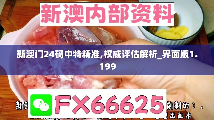 新澳门24码中特精准,权威评估解析_界面版1.199