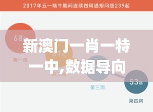 新澳门一肖一特一中,数据导向执行解析_pack16.707