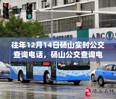砀山公交查询电话的历史沿革与实时公交查询回顾