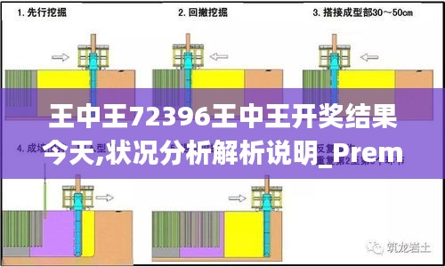 王中王72396王中王开奖结果今天,状况分析解析说明_Premium6.674
