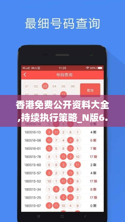 香港免费公开资料大全,持续执行策略_N版6.428