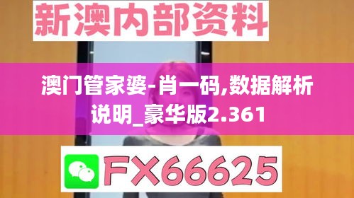 澳门管家婆-肖一码,数据解析说明_豪华版2.361