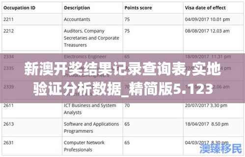 新澳开奖结果记录查询表,实地验证分析数据_精简版5.123