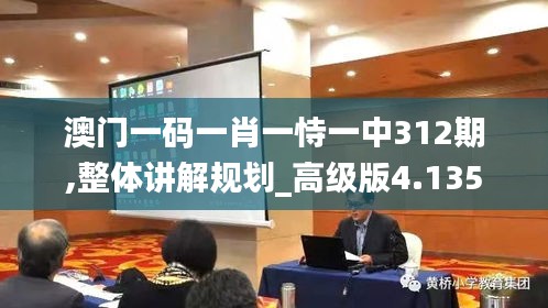 澳门一码一肖一恃一中312期,整体讲解规划_高级版4.135