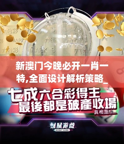 新澳门今晚必开一肖一特,全面设计解析策略_FT6.658