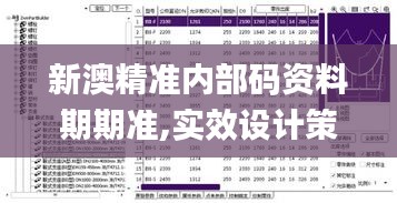 新澳精准内部码资料期期准,实效设计策略_升级版2.663