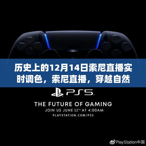 索尼直播，寻找内心平静的调色板之旅，历史直播回顾与体验