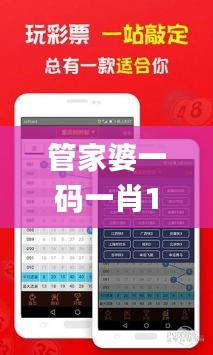 管家婆一码一肖100%准,可靠计划策略执行_3DM1.902