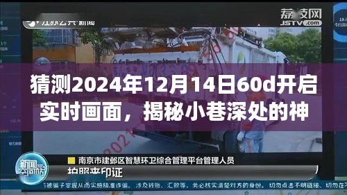 2024年12月14日60d实时画面之旅，揭秘小巷深处的神秘画面与时光角落的特色小店