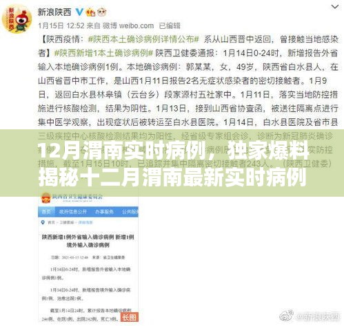 独家揭秘，十二月渭南实时病例动态与疫情发展趋势深度解析
