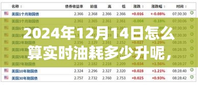 驾驭变化，实时油耗计算之旅，寻找自信与成就感的励志之旅