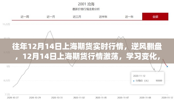 揭秘往年12月14日上海期货行情，逆风翻盘与自信成就未来之路