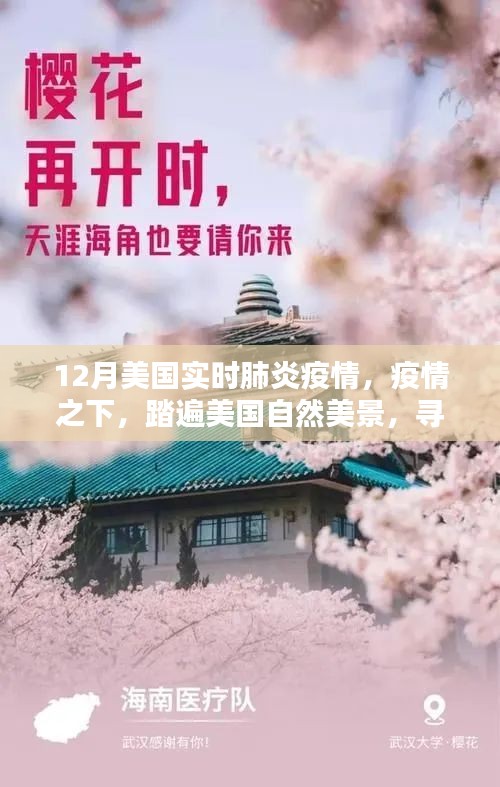 疫情之下的美国自然之旅，探寻内心的宁静与力量