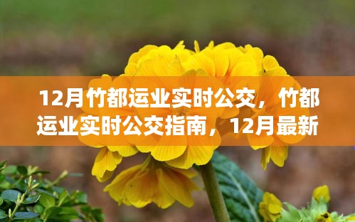 竹都运业实时公交最新指南，12月动态出行无忧