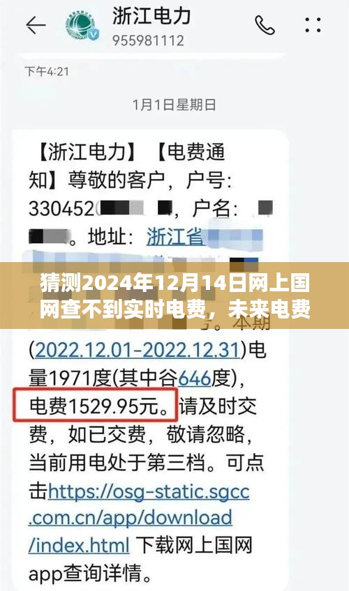 未来电费查询新动向，2024年网上国网电费实时显示功能预测与探讨