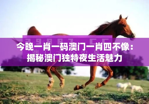 今晚一肖一码澳门一肖四不像：揭秘澳门独特夜生活魅力