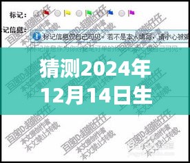 布被瓦器 第3页