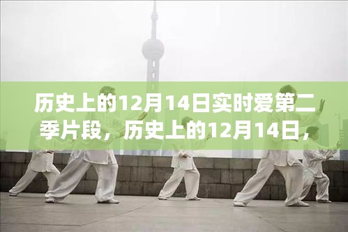 越鸟南栖 第3页