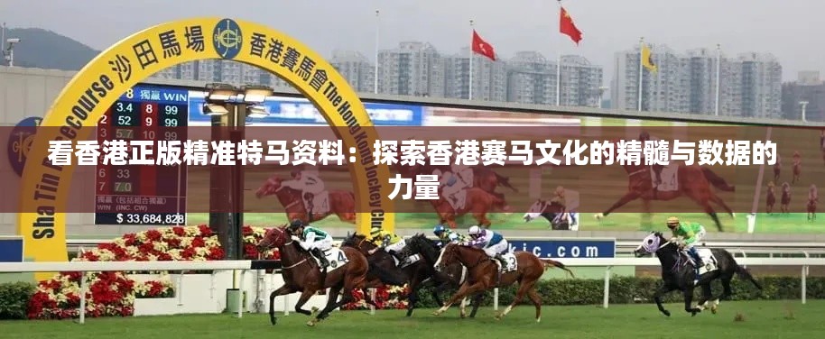 看香港正版精准特马资料：探索香港赛马文化的精髓与数据的力量