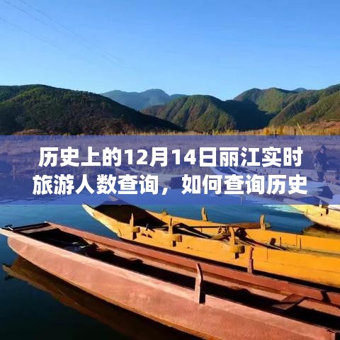 如何查询丽江历史旅游人数，12月14日与1月1日的详细步骤指南