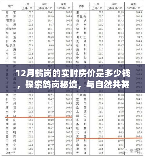 鹤岗房价揭秘，与自然共舞的心灵宁静之地，探索秘境与旅行邂逅的完美时光