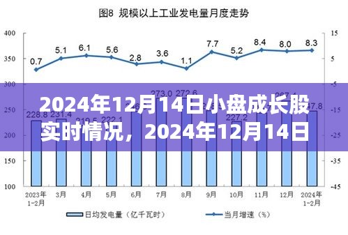 见证成长奇迹，小盘股实时动态，开启自信成就之旅——2024年12月14日小盘成长股深度观察