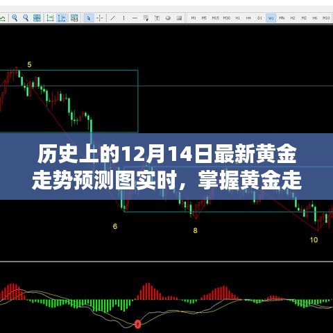 历史上的12月14日黄金走势实时预测解析指南，掌握黄金走势的必备指南