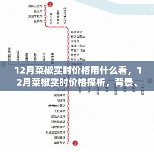 揭秘，12月菜椒实时价格走势及市场影响力分析