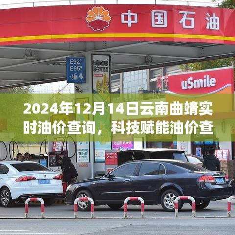 云南曲靖实时油价查询新体验——科技赋能油价查询，智能生活触手可及