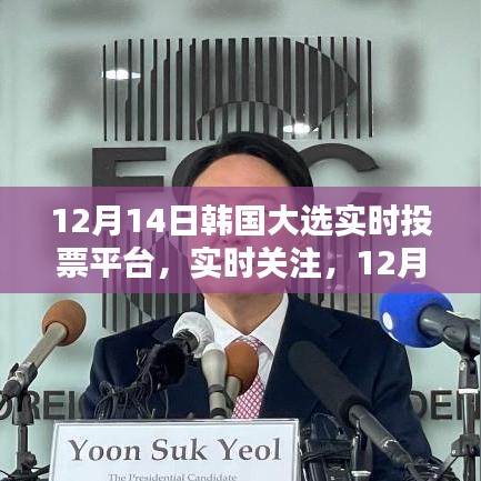 动态解读