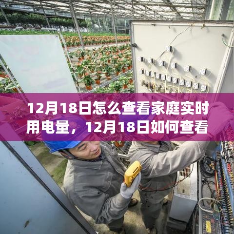 12月18日家庭实时用电量查看方法，深度分析与个人见解