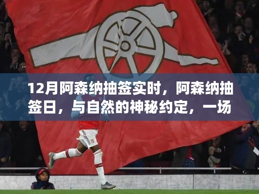 阿森纳抽签日，探寻内心平静的绿色征途与自然的神秘约定