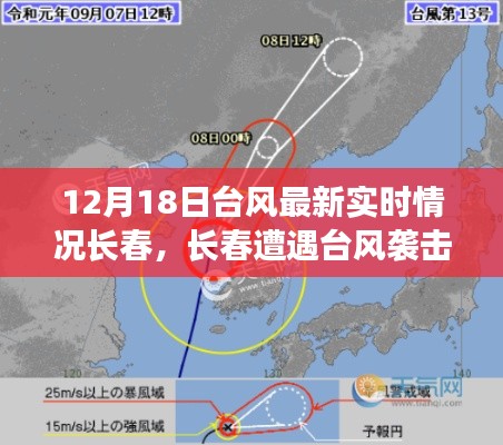 长春遭遇台风袭击，最新实时情况深度解析