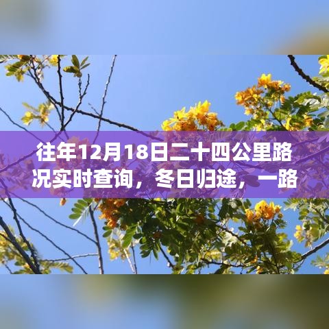 冬日归途，一路同行，实时路况下的温馨故事与二十四公里旅程的陪伴