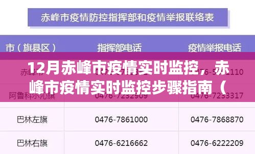 赤峰市疫情实时监控指南，初学者与进阶用户的步骤指南（12月最新更新）