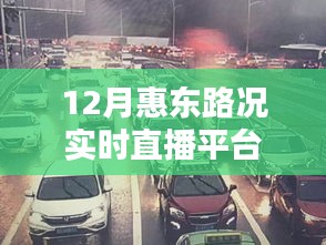 落落大方 第3页