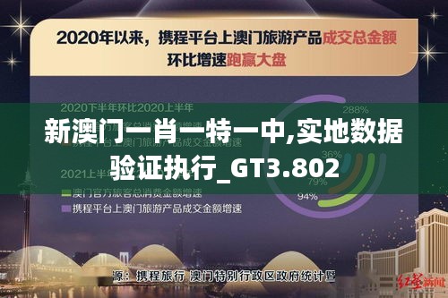 新澳门一肖一特一中,实地数据验证执行_GT3.802