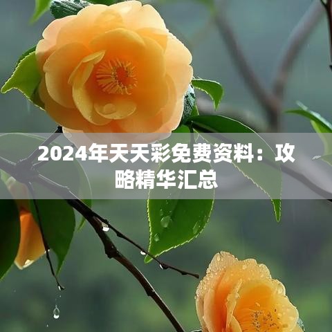 2024年天天彩免费资料：攻略精华汇总