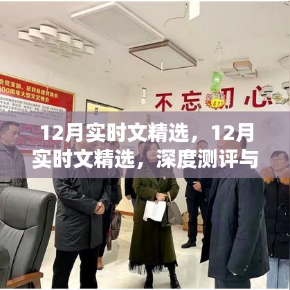 12月实时文精选，深度测评与介绍概览