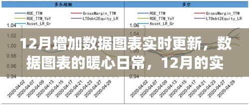 12月数据图表实时更新，暖心日常与朋友温情陪伴