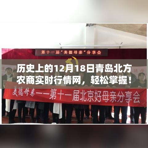 历史上的12月18日青岛北方农商实时行情网，使用指南与实时行情轻松掌握！